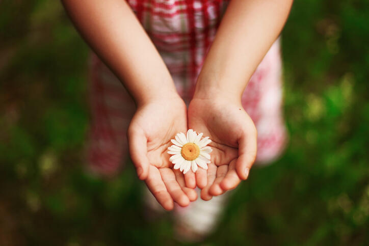 Palliative-care