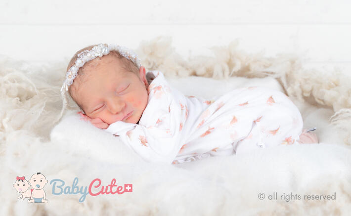 alessia stella bg