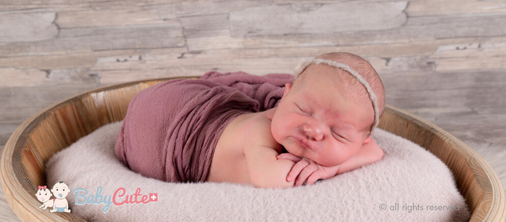carlota dorothea bg