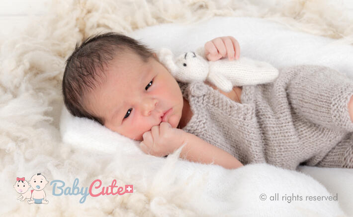 dante liam