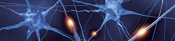 neuro@luzern