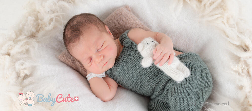 theo bg
