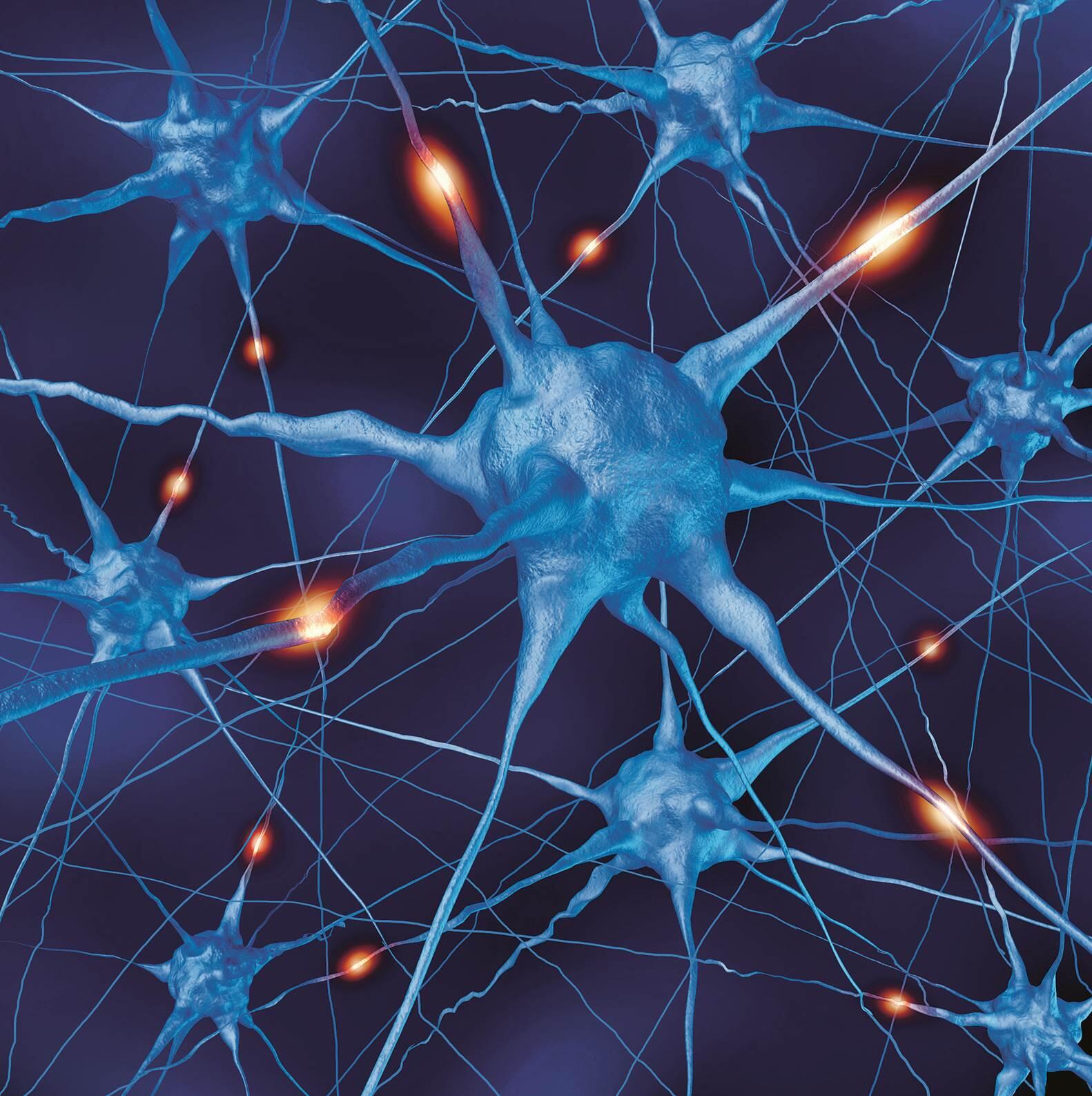 Neurologie