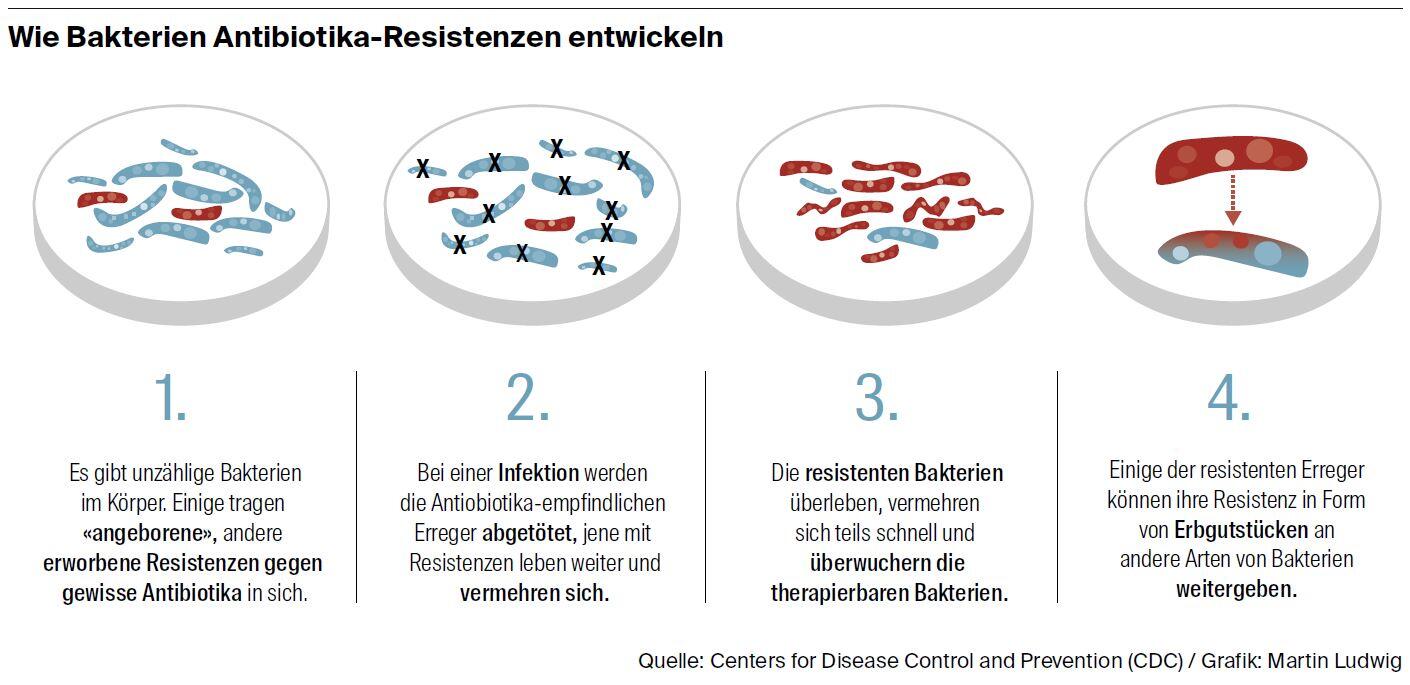 Wie Bakterien Antibiotika-Resistenzen entwickeln