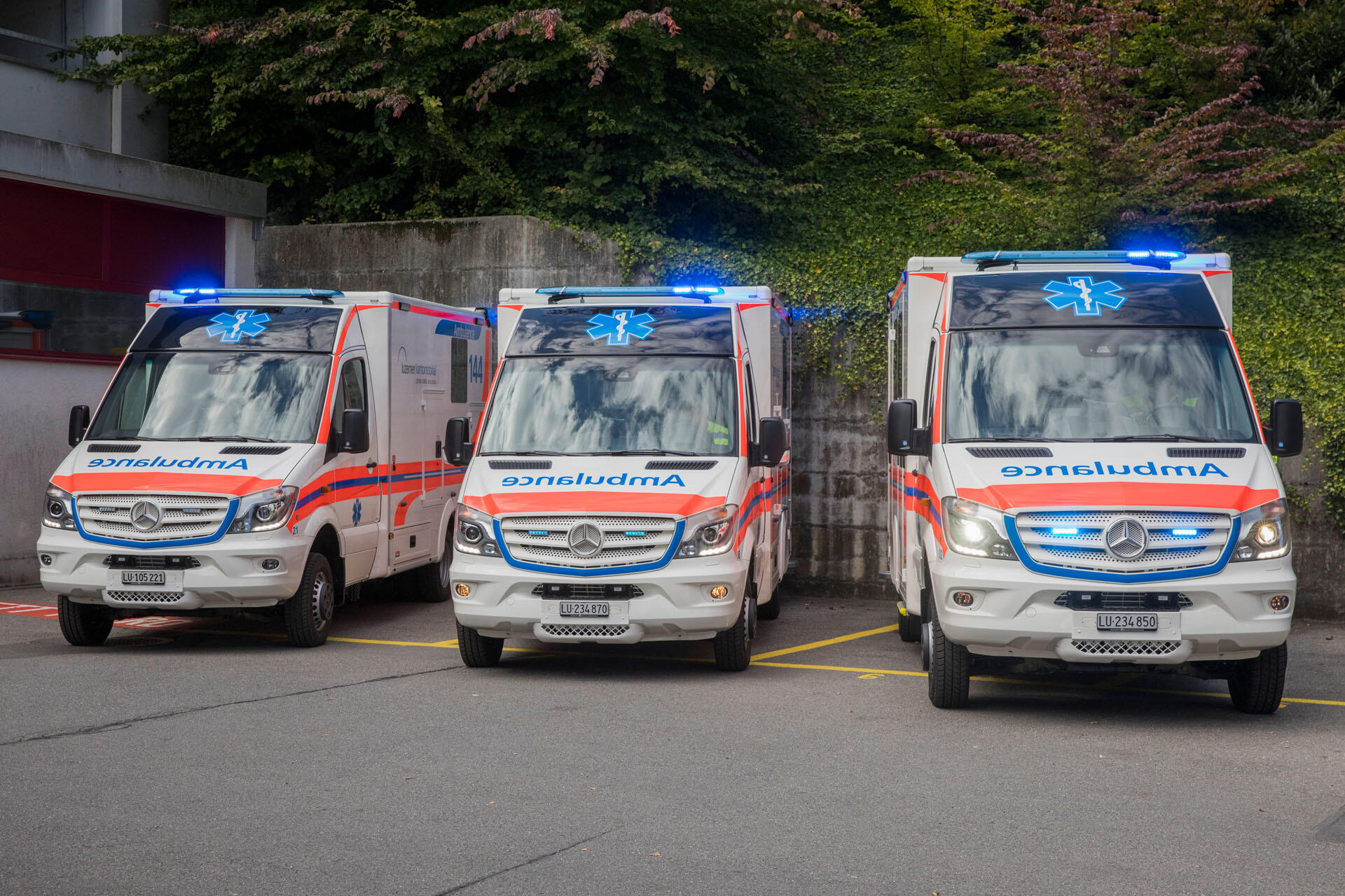 bilddatenbank weitere