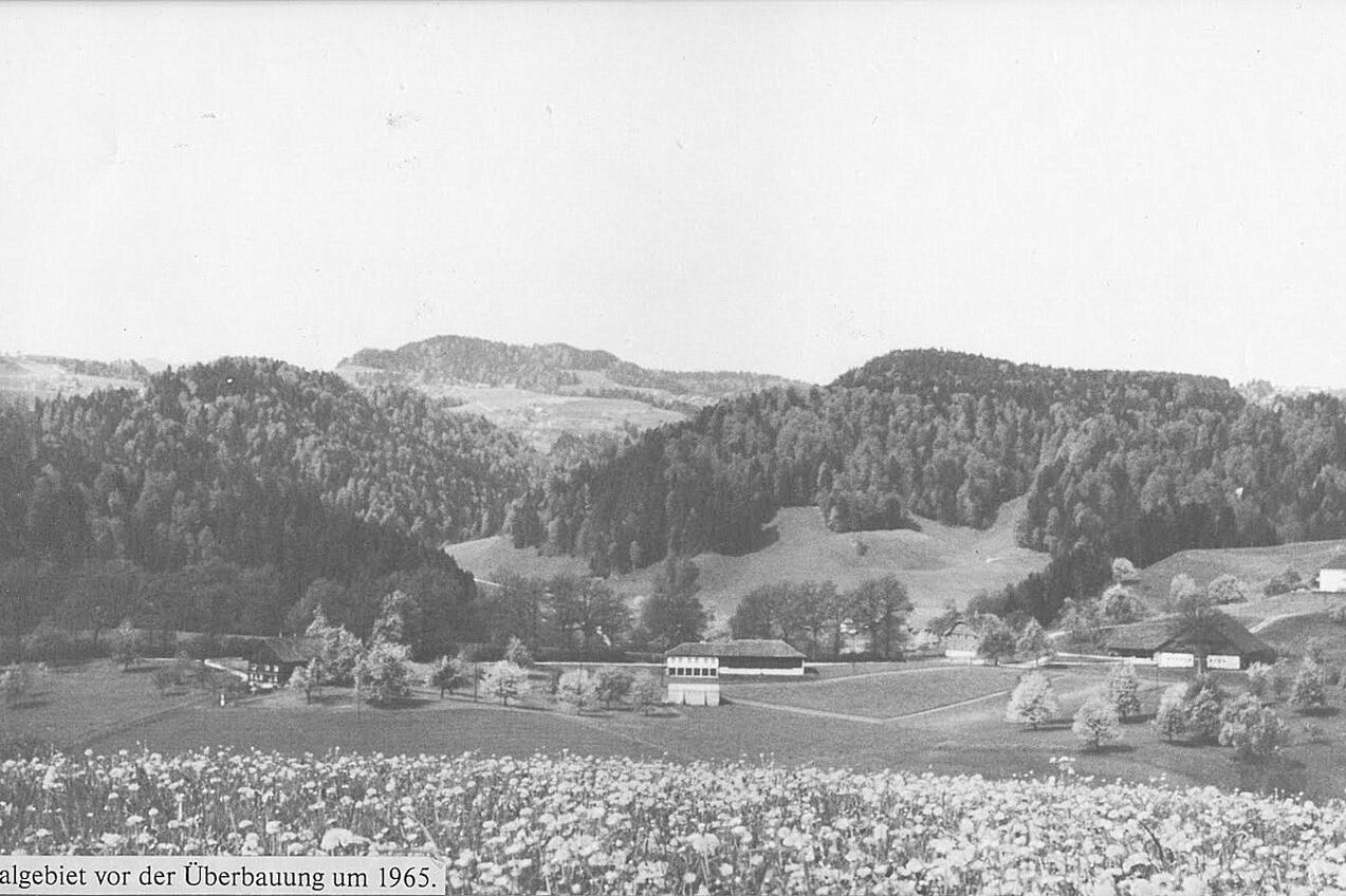 Blick von Krähenbühl auf Sedel. Aufnahme 1965. Spitaleröffnung 1972.
