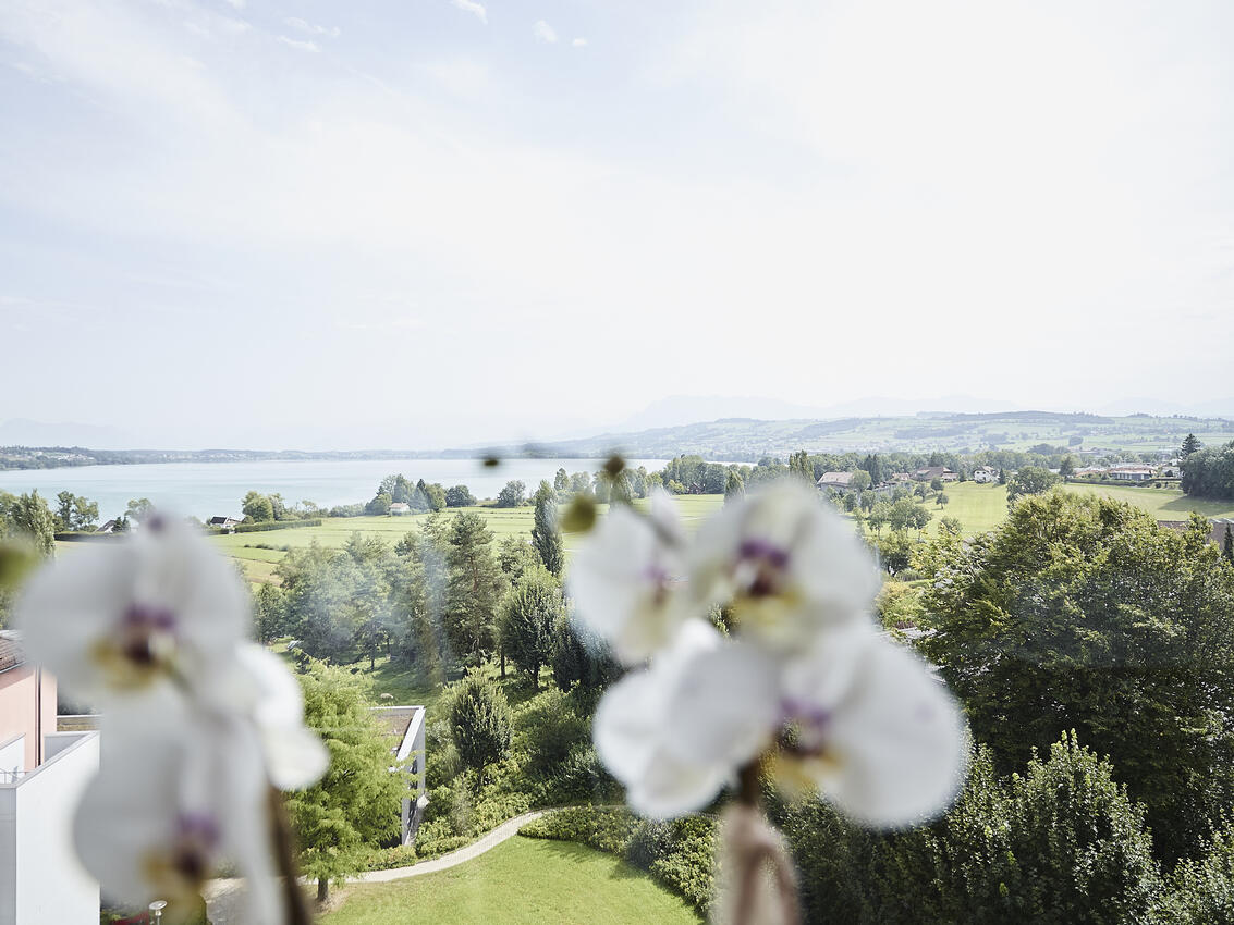 Excellence Sursee Aussicht Sempachersee