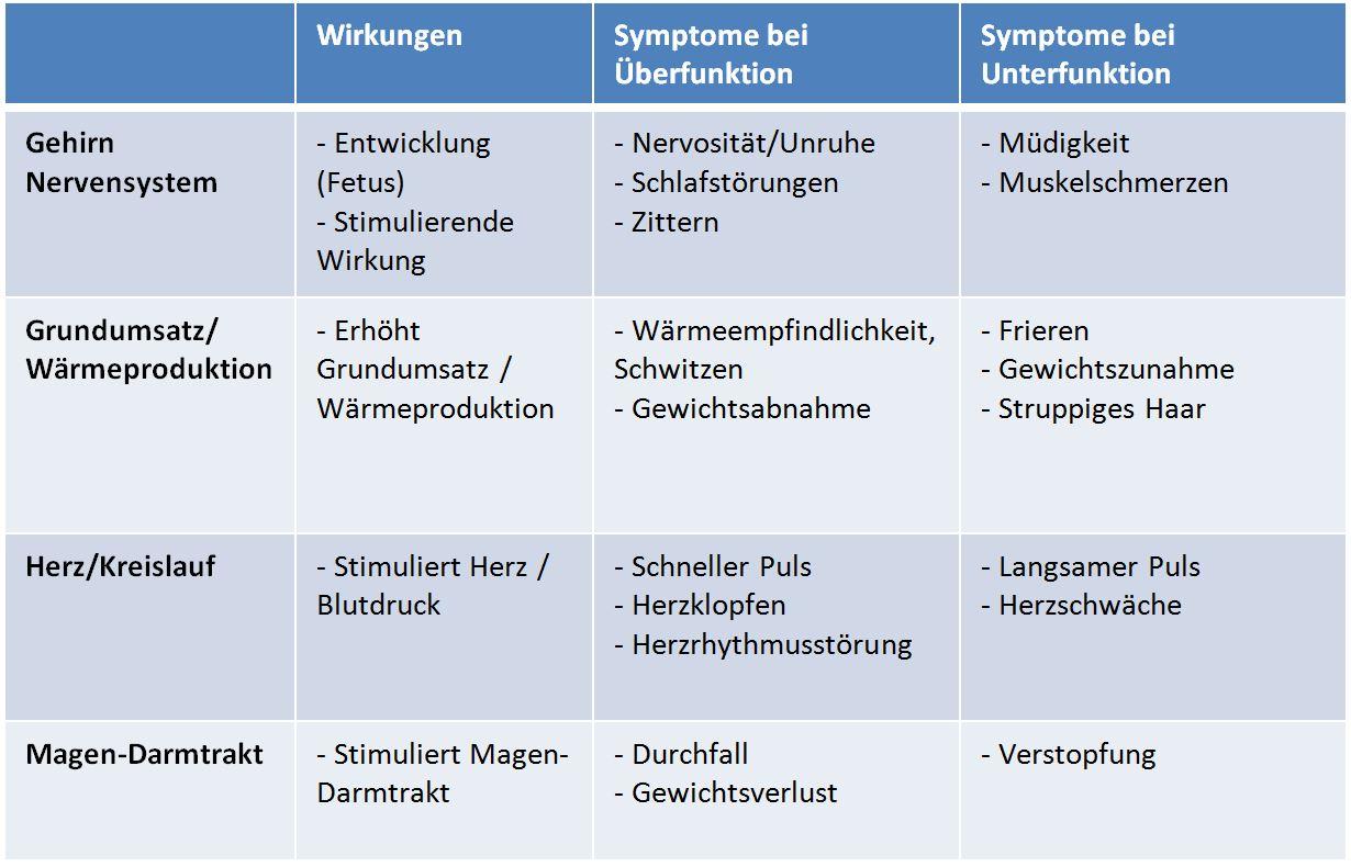 ratgeberartikel schilddruesen fischli ratgeberartikel schilddruesen fischli