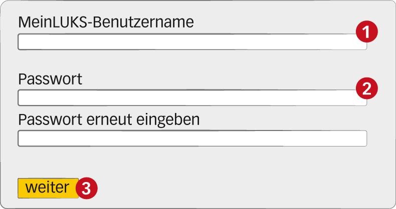 MeinLUKS Schritt MeinLUKS Schritt
