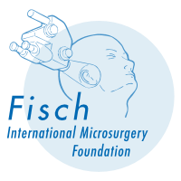 logo fimf logo fimf